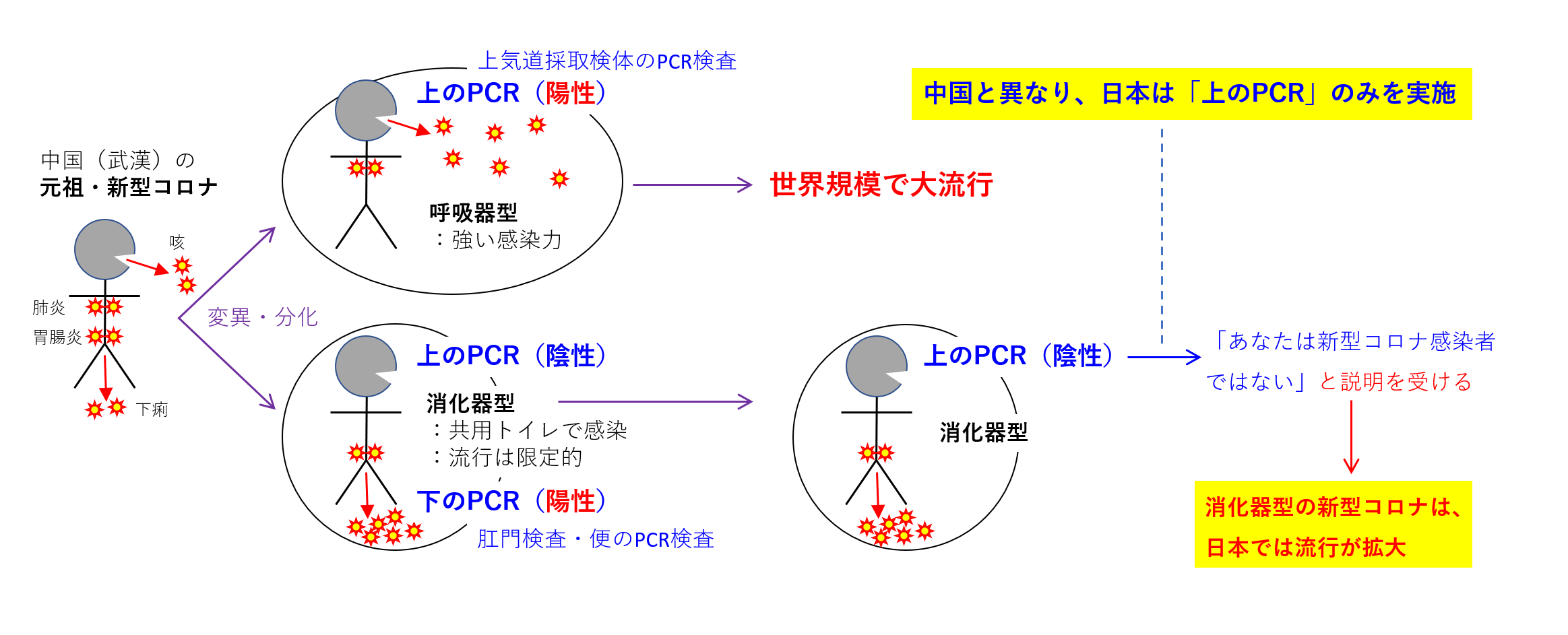 疫学的要点