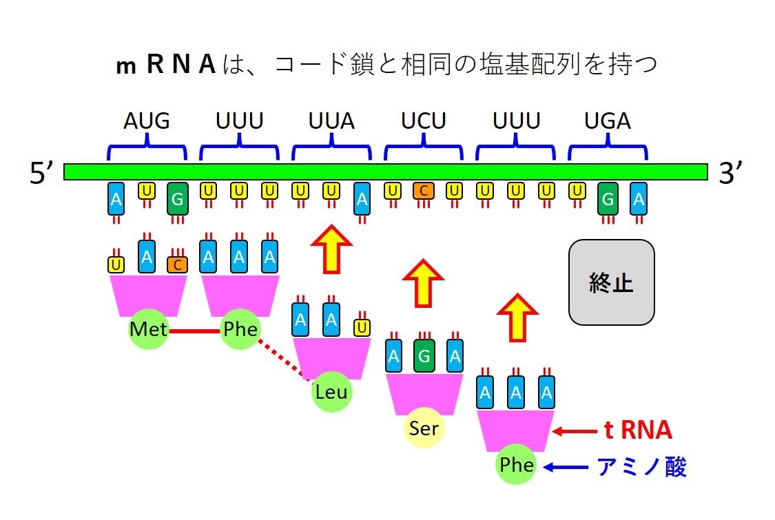 図