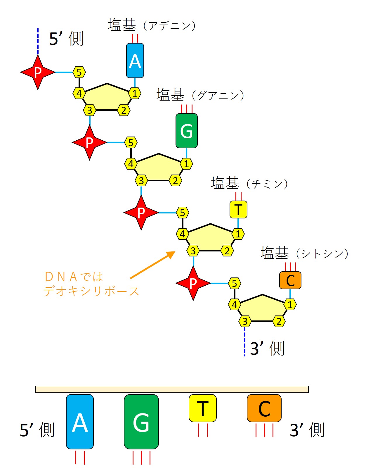 図
