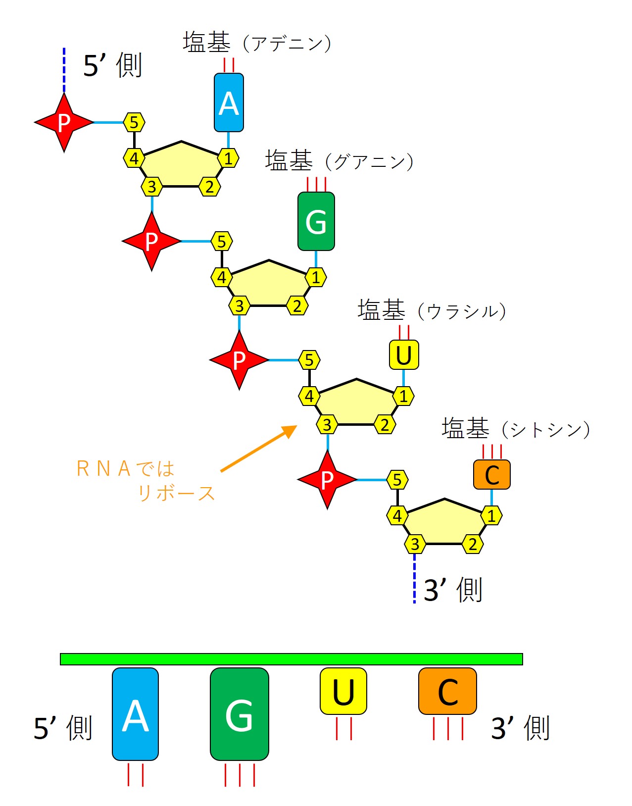 図