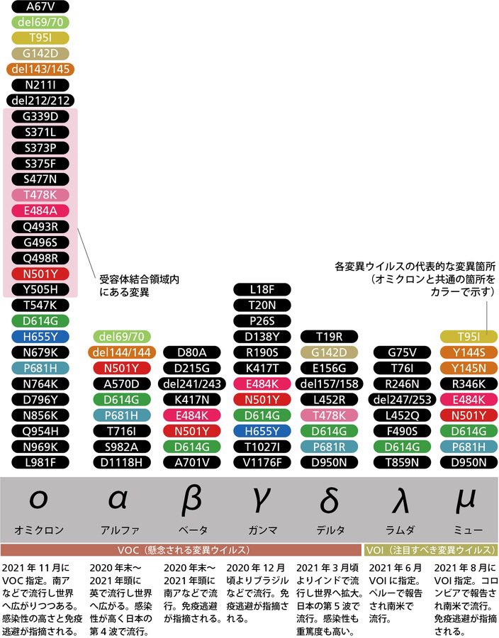 図